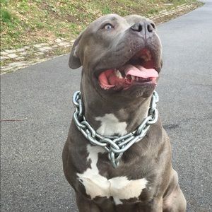 Meet your Posher, Jamale